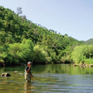 Try Your Hand at Fly Fishing