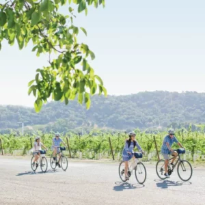Spend a Day Biking to Wineries
