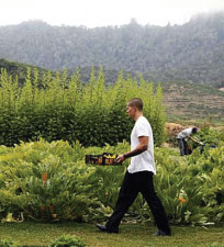 A chef walks through a culinary garden carrying a box of vegetables