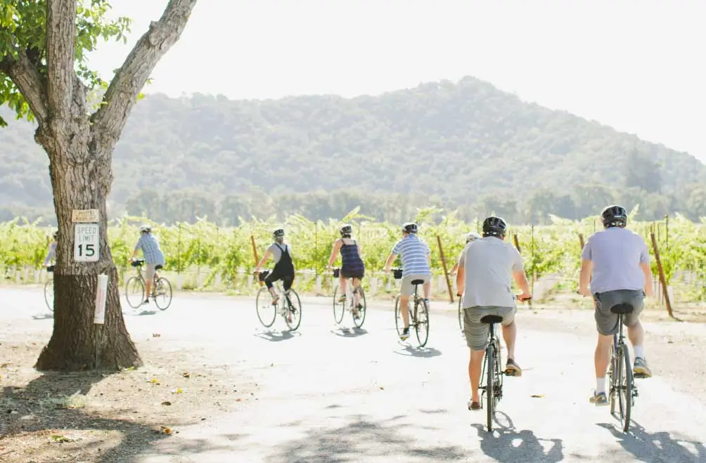 A group riding bikes along a quiet country next to the vineyards.