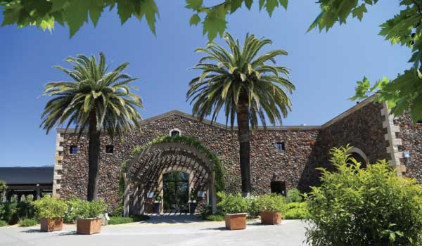 Two palm trees frame the entrance of Black Stallion Estate Winery