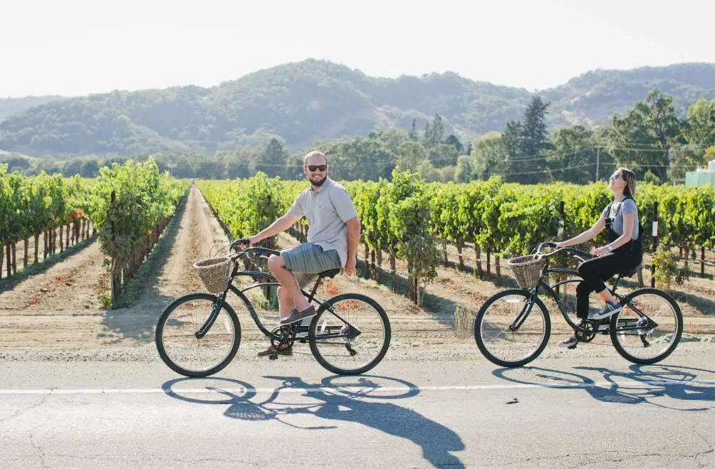 A couple rides cruiser style bikes with baskets alongside the vineyards.