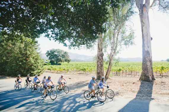 Group biking on a quiet road with vineyard views