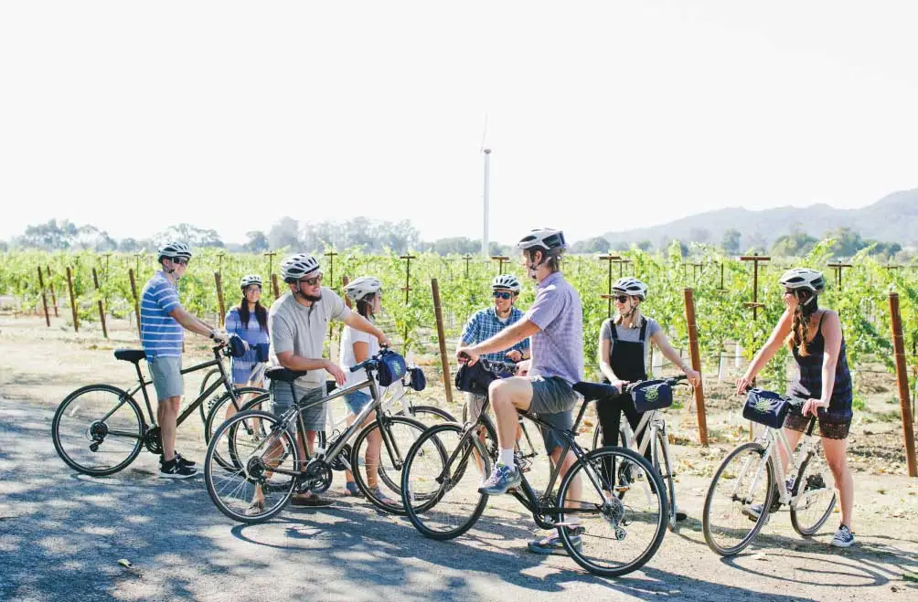A group of bike riders taking a break along a road bordered by vineyards.