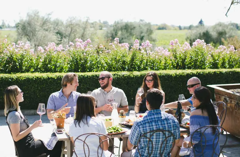 A group of eight seated around a table enjoying a picnic with a view of the vineyards.