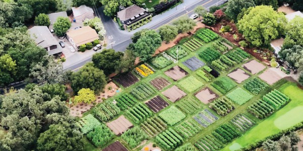 Aerial view of The French Laundry culinary garden beds