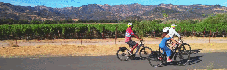 Three bikers ride along a bike path next to vineyards
