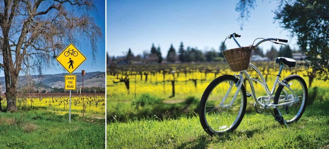 Experience the Magic of Napa Valley Mustard Season • Napa Valley Bike