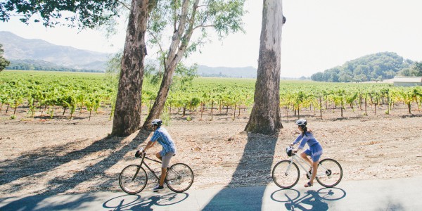 A man and a woman bike along a quiet road with a view of the vineyards.